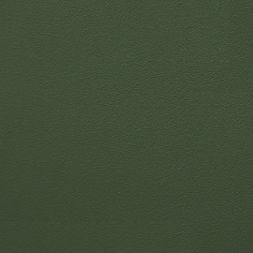 Шарли Green
